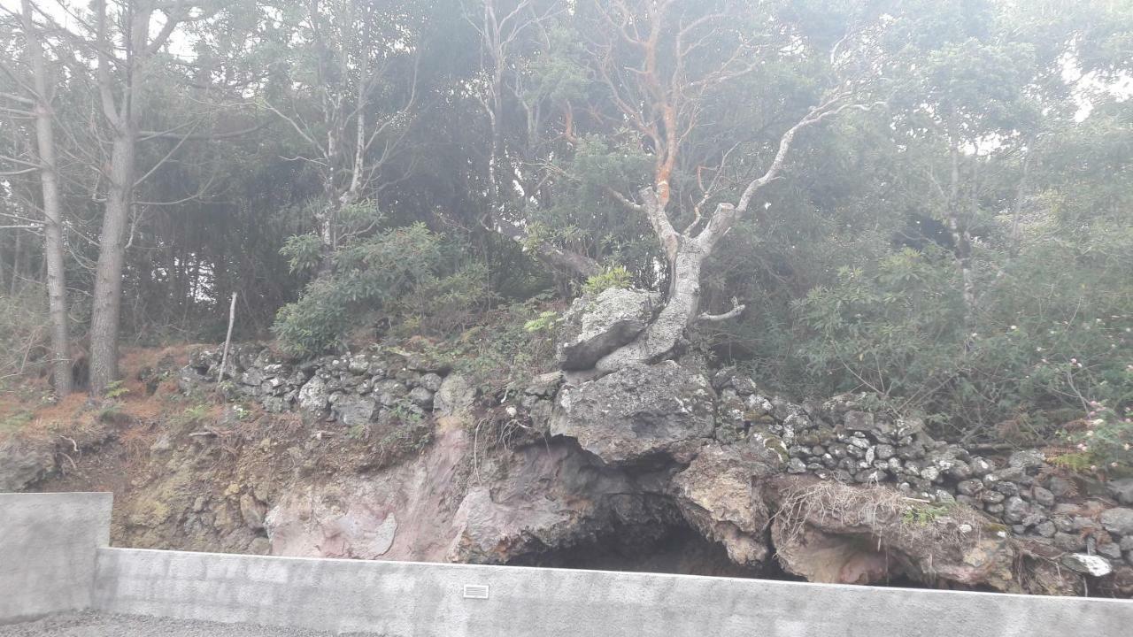 Appartamento Al - Boa Nova Madalena  Esterno foto